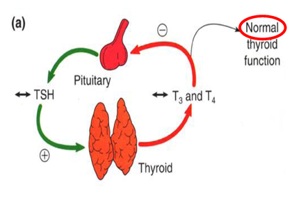 Thyroid Dysfunction And Heart Failure