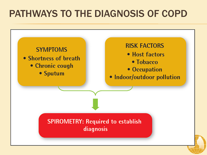 Pathways To The Diagnosis Of COPD - Diagnosis And Assessment Of COPD ...