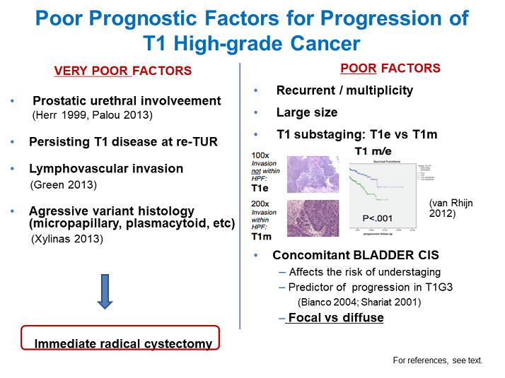 Poor Prognostic Factors For Progression Of T1 High Grade Cancer Activity Six Management Of T1 0256