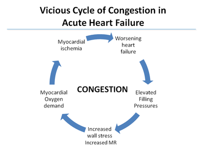 Vicious Cycle of Congestion in Acute Heart Failure - Hemodynamic ...