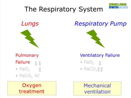 The Respiratory System - Noninvasive ventilation with high pressure ...