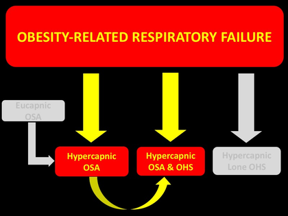 Obesity-Related Respiratory Failure - Novel Ventilation Modes for NIV ...