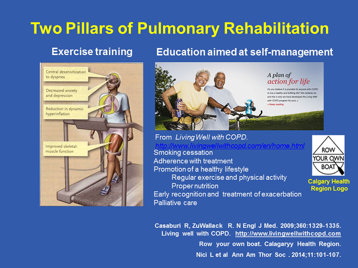 Two Pillars Of Pulmonary Rehabilitation - Pulmonary Rehabilitation And ...