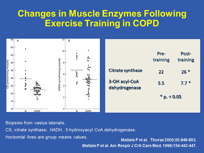 Changes in Muscle Enzymes Following Exercise Training in COPD ...