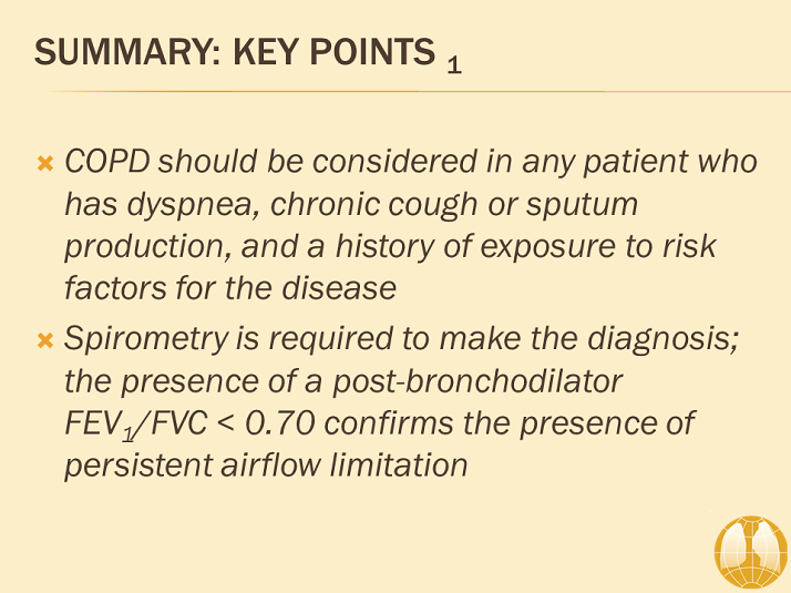 Summary: Key Points 1 - Diagnosis And Assessment Of Copd - Gold Copd 