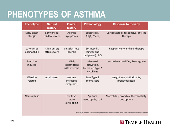 Phenotypes of Asthma - Treatment Options for Severe Persistent Asthma ...