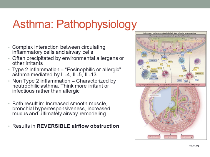 Asthma: Pathophysiology - Asthma Guideline Based Therapy/Updated GINA ...
